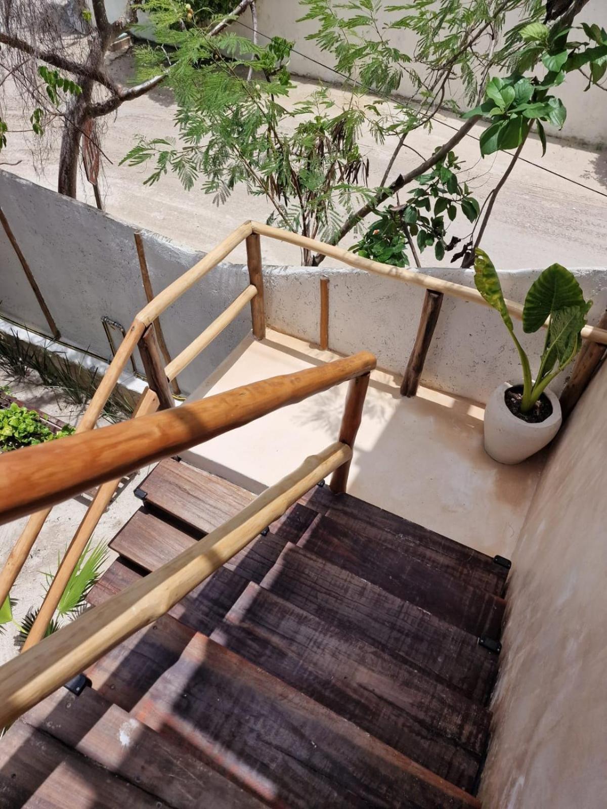 Luna Y Sol Glamping Holbox エクステリア 写真