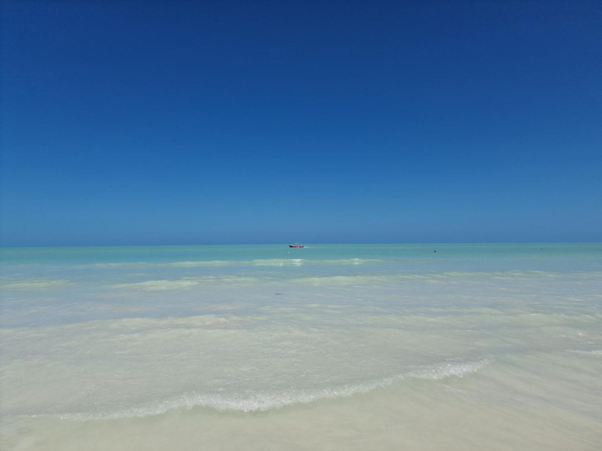 Luna Y Sol Glamping Holbox エクステリア 写真